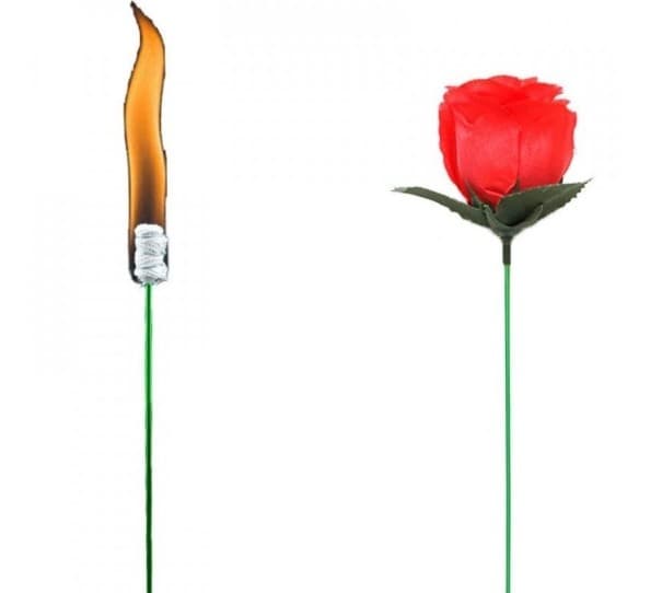 Varázsfogás rózsákkal