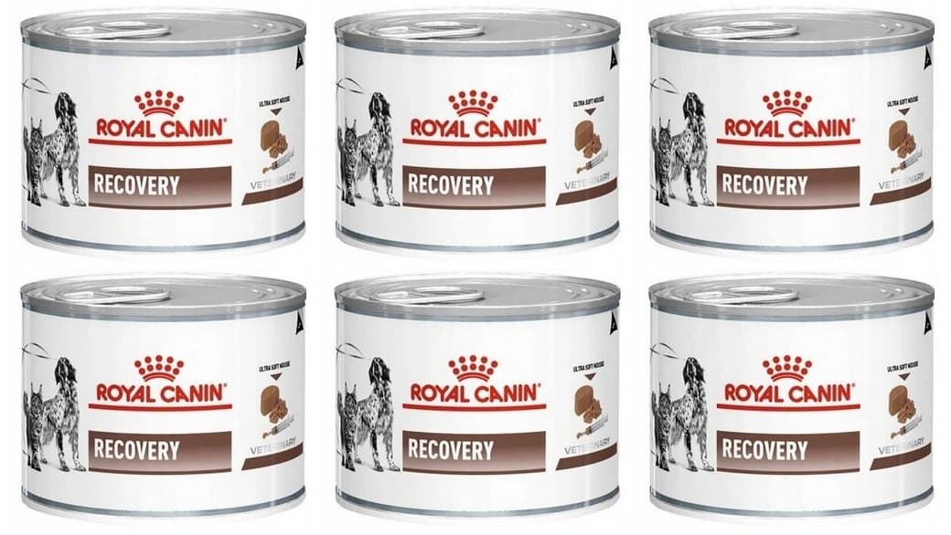 ROYAL CANIN Vet dog-cat recovery 195 g