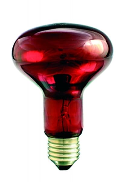 Infra melegitő izzó 60 W R80 E/27 red Helios