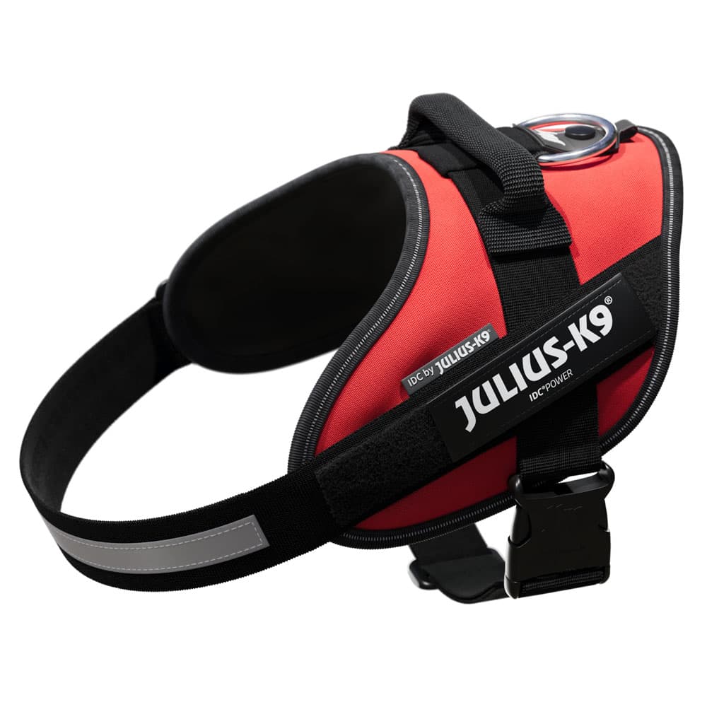 JULIUS-K9 IDC® powerhám kutyáknak, piros, 58 - 76 cm mellkaskörfogat