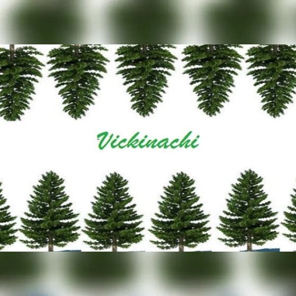 Vickinachi (PC) Steam Key - GLOBAL