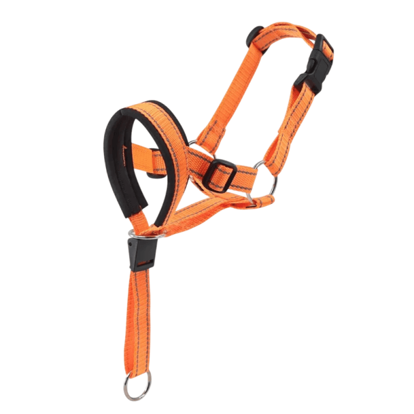 Nylonos szájkosaras hám kutyáknak M-es méretben Szájkerület 24,6–30,4 cm Nyakkerület 32,5–43,7 cm Állítható kényelmes hám a rágás